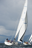 whyw13 tue 2390